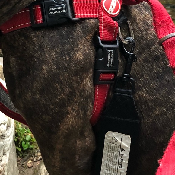 Meet your Posher, Bob - Picture 1 of 1